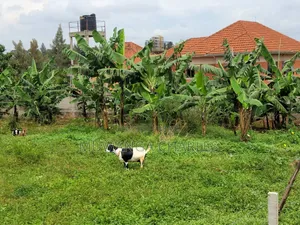 Plots for Sale in Buwaate
