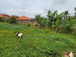 Plots for Sale in Buwaate