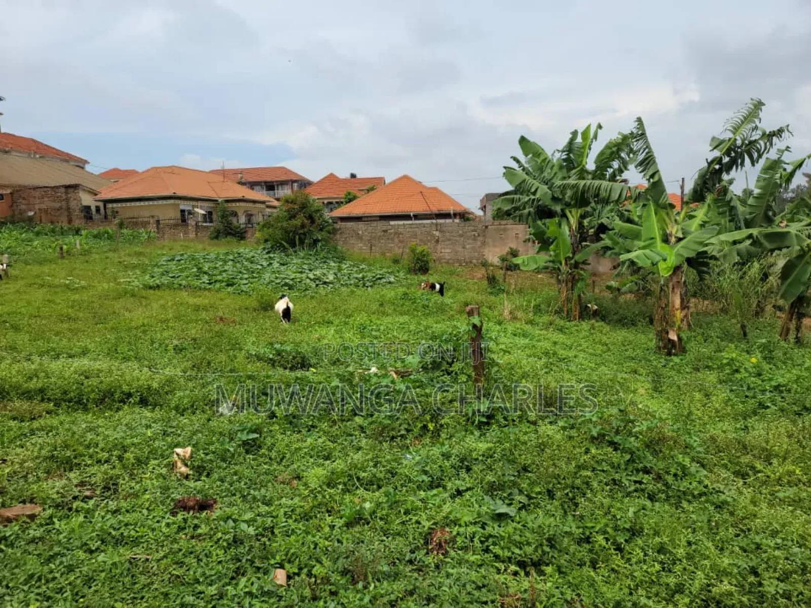 Plots for Sale in Buwaate