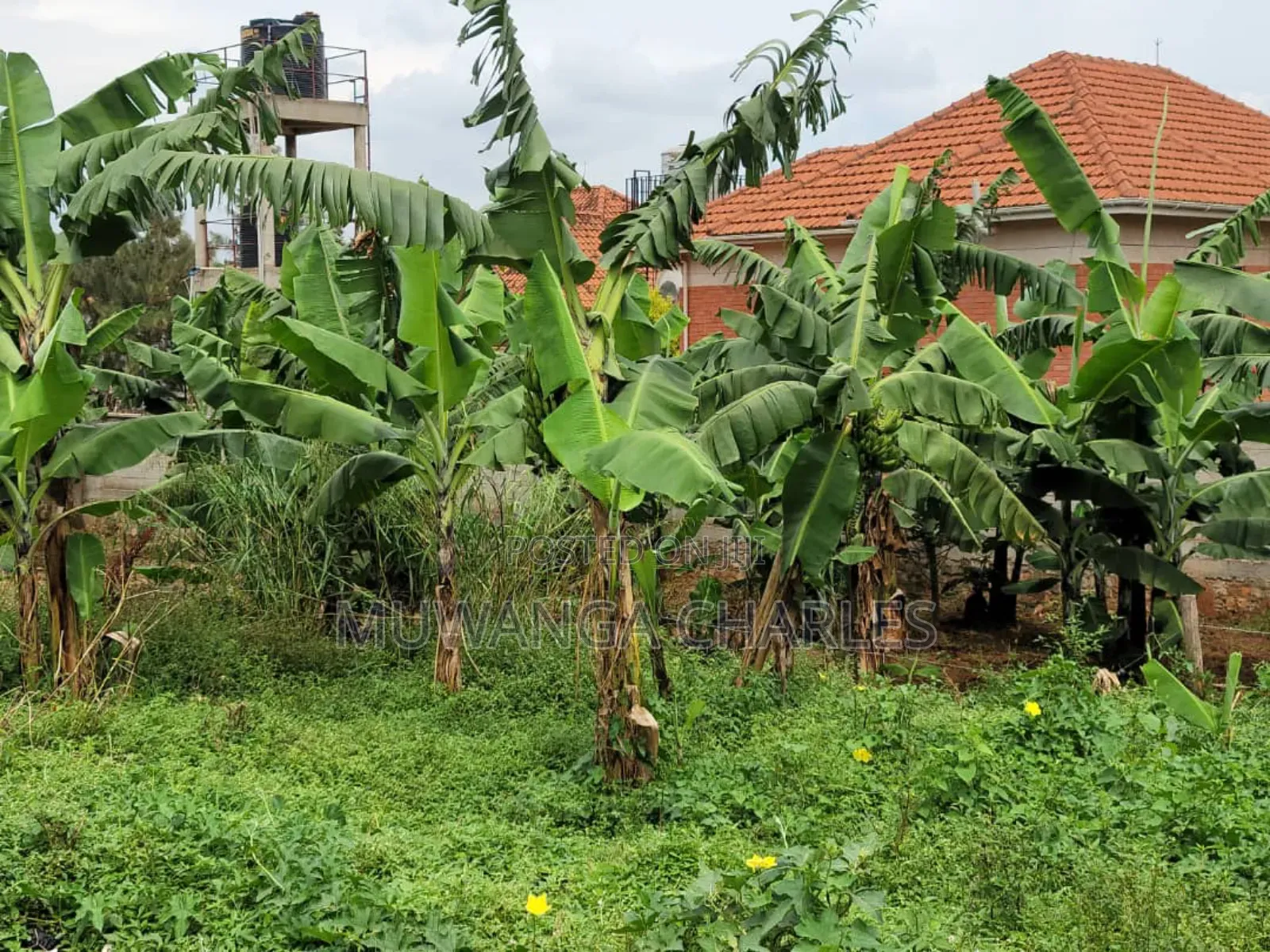 Plots for Sale in Buwaate