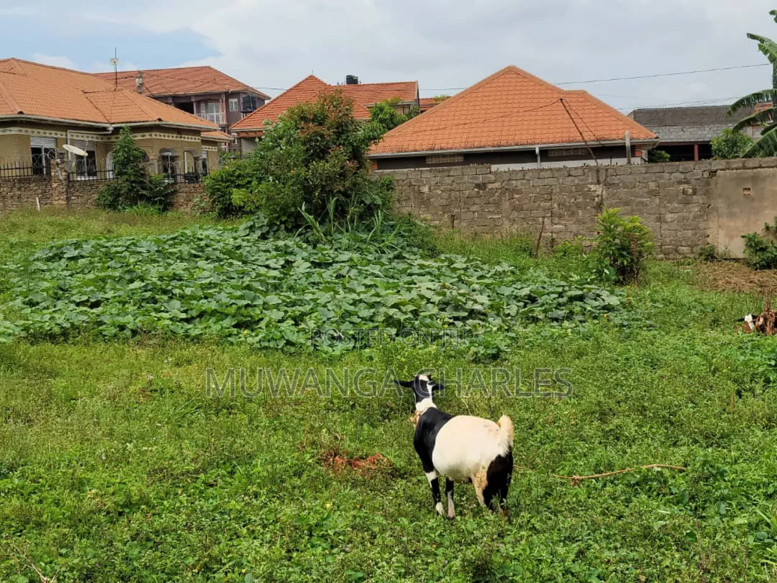 Plots for Sale in Buwaate