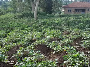 30decimasl of Land for Sale in Kyanja Kungu