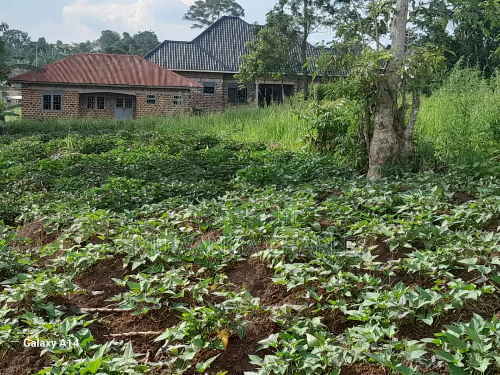 30decimasl of Land for Sale in Kyanja Kungu