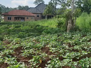 30decimasl of Land for Sale in Kyanja Kungu