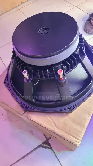 Nexo Woofer Speaker 12inch Coil 75.5cm