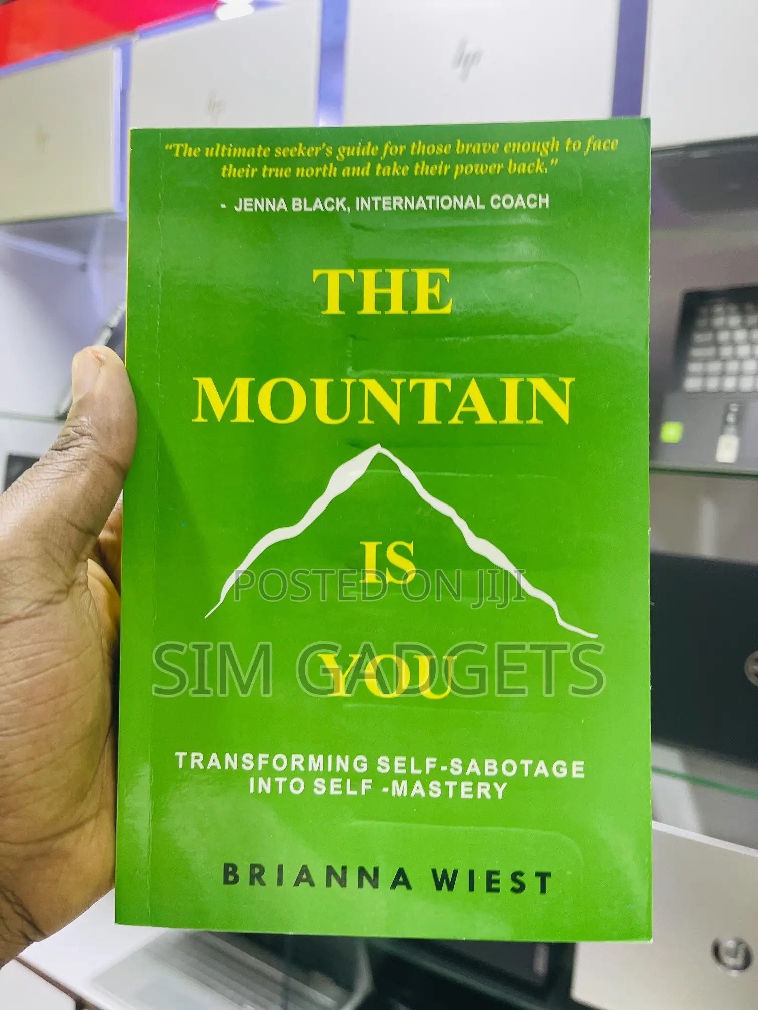 The Mountain Is You. Brianna