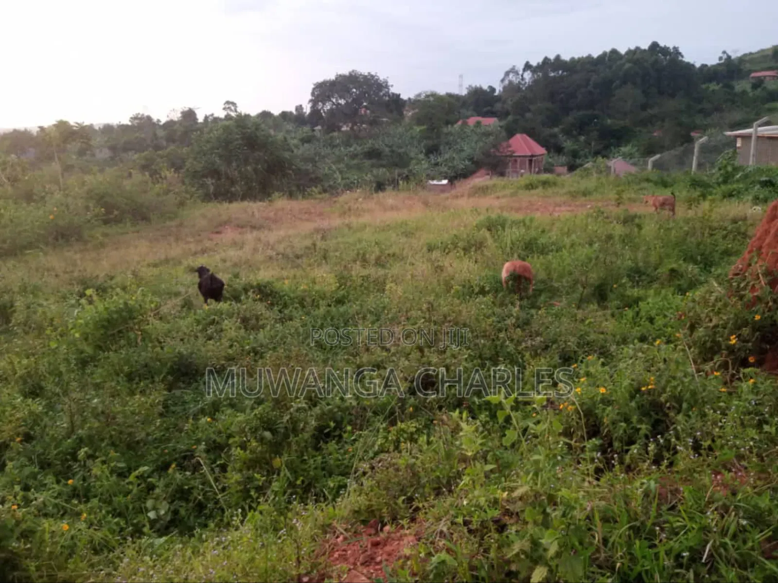 Land for Sale in Kira