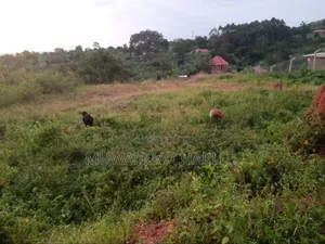 Land for Sale in Kira