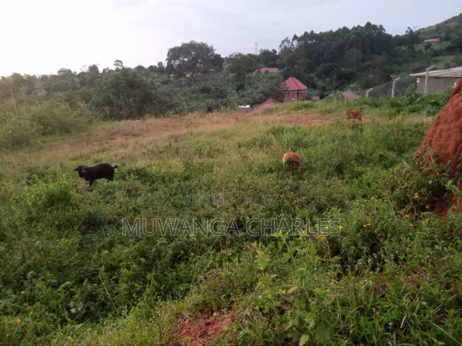 Land for Sale in Kira