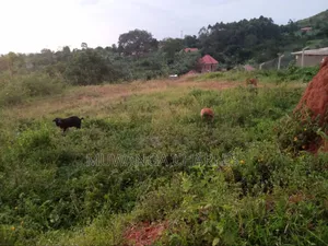 Land for Sale in Kira