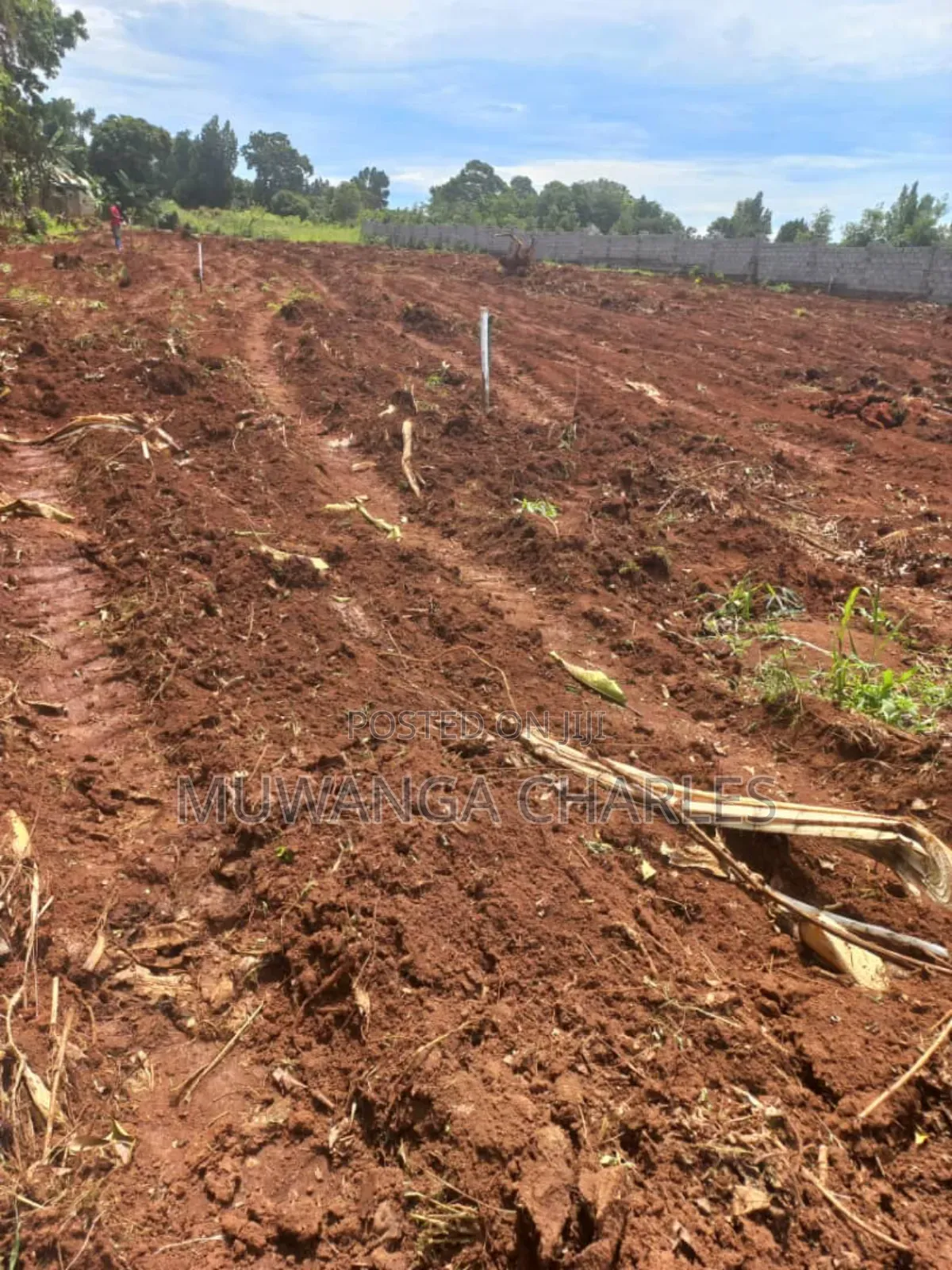 Plot's for Sale in Busika