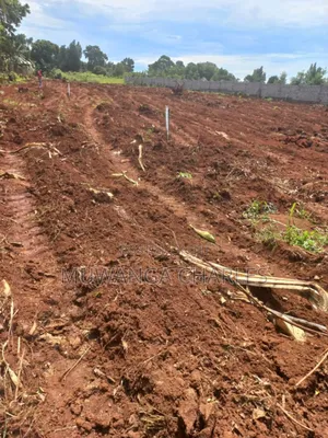 Plot's for Sale in Busika