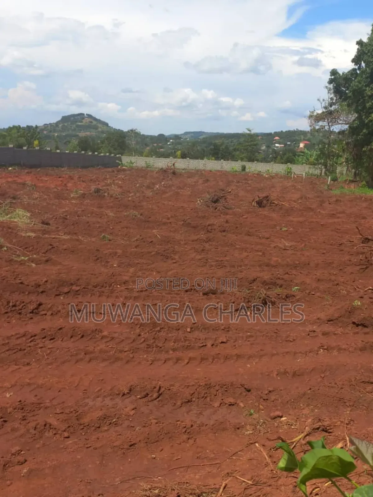 Plot's for Sale in Busika