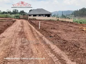 Prime Plots For Sale At Mubango~Kakiri Land Estate~Hoima Rd.