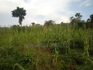 Land for Sale in Wabutungulu