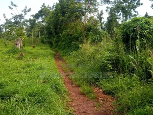 Land for Sale in Wabutungulu