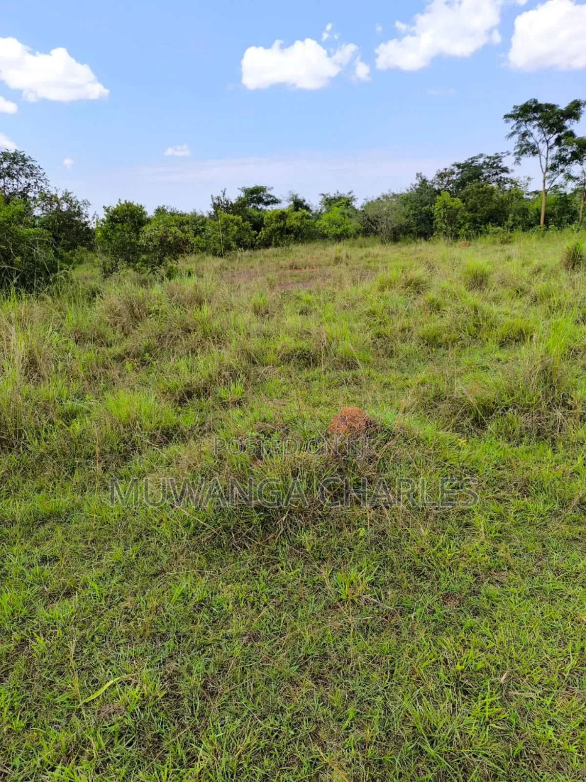 Land for Sale in Wabutungulu