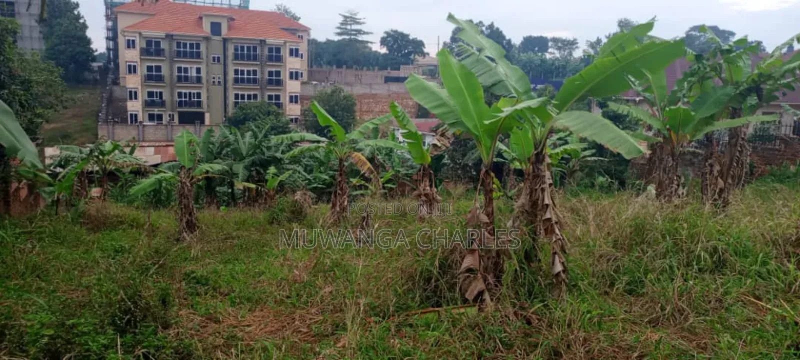Land for Sale in Wabutungulu