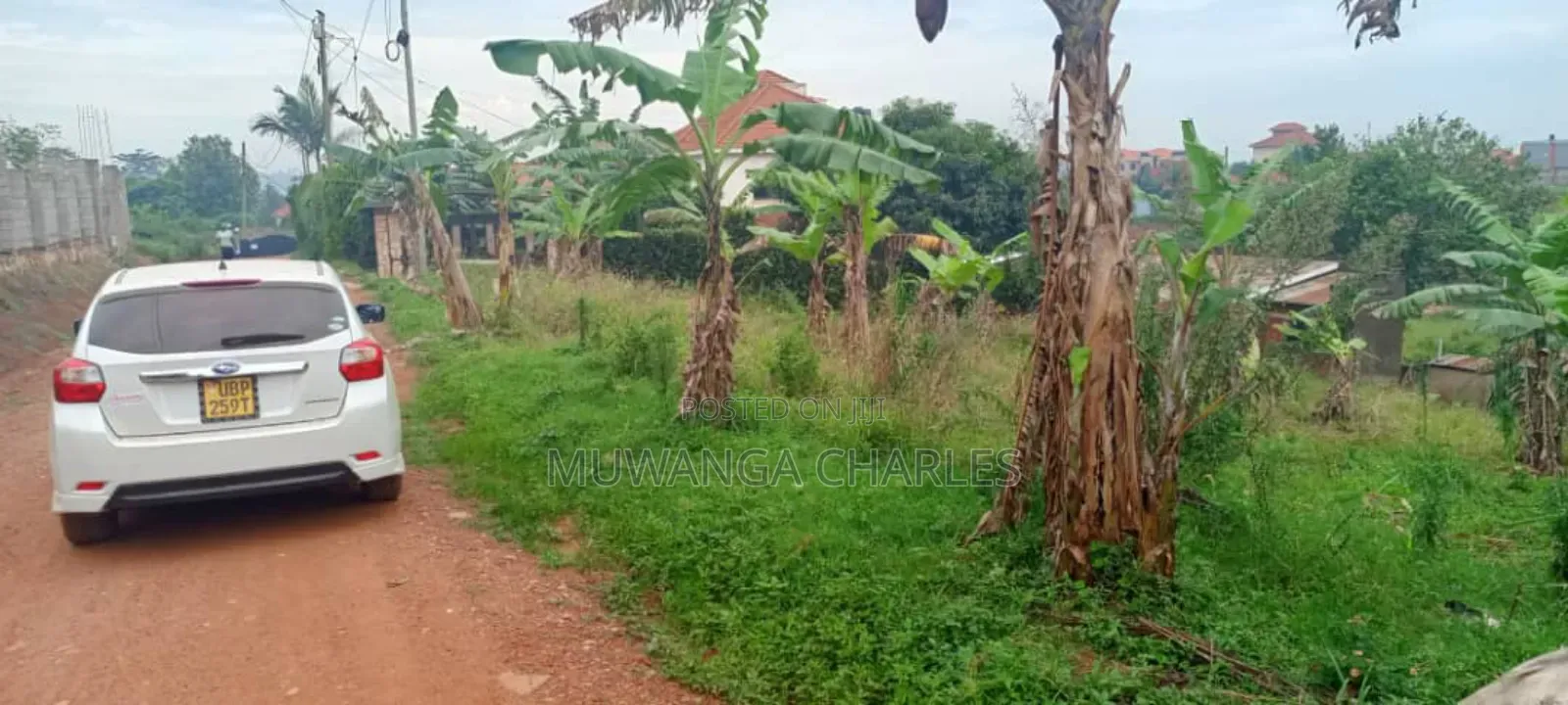 Land for Sale in Wabutungulu