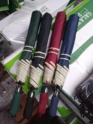 Portable Umbrella