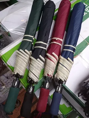 Portable Umbrella