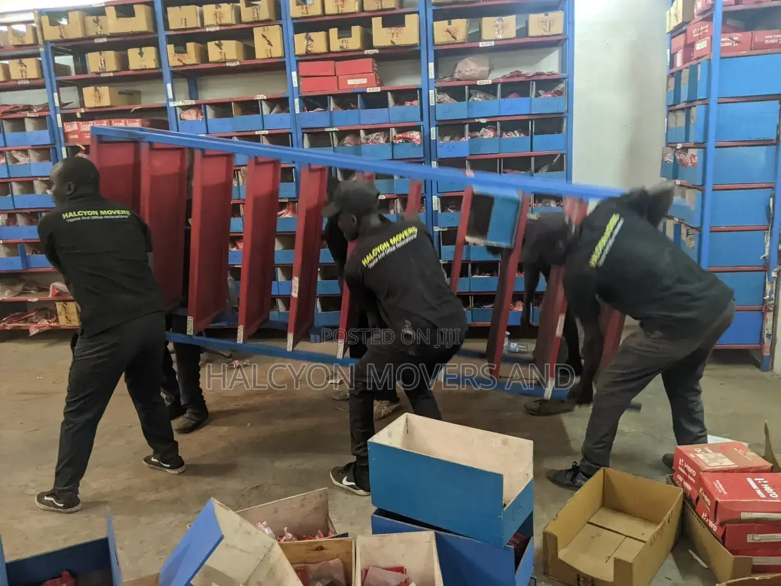 Movers and Packers 15