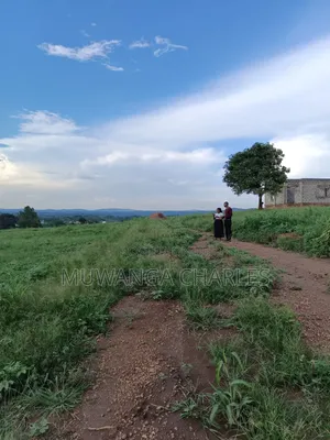 Plot for Sale in Kira Nsasa