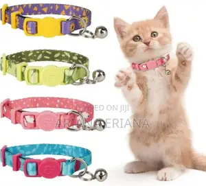 Photo - Pet Collar