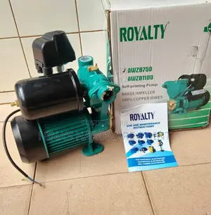 Cold Hot Booster Water Pump 1hp