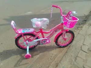 Hunter Girls Bike