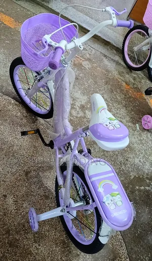 Purple Kids Bicycle