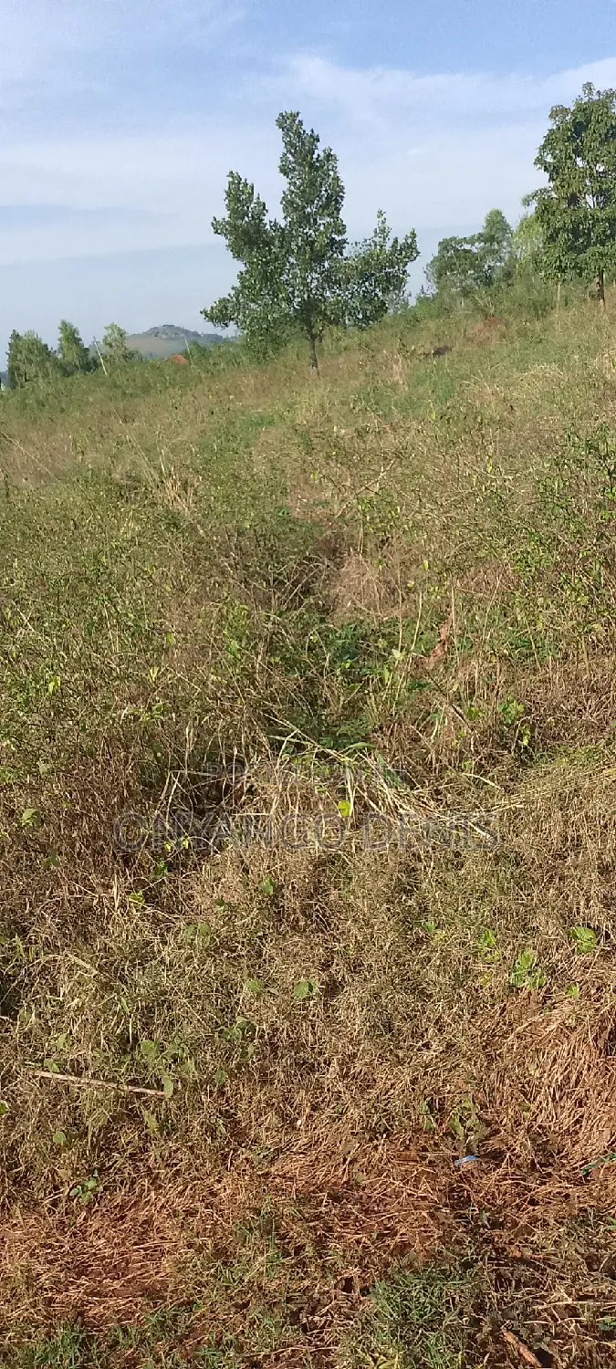 Land for Sale