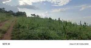 Plot's for Sale in Kakiri
