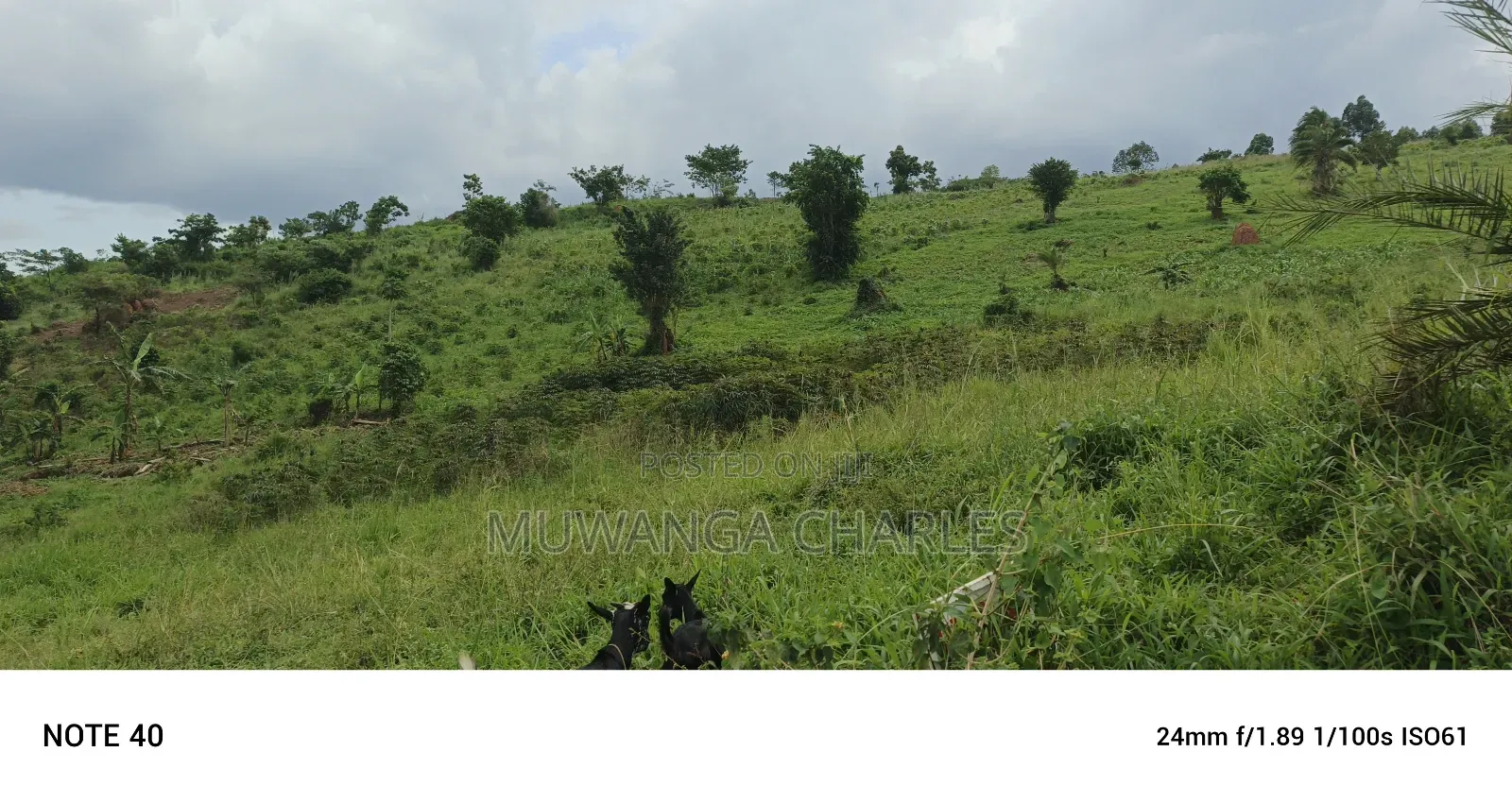 Plot's for Sale in Kakiri