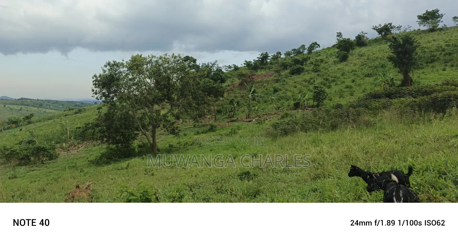 Plot's for Sale in Kakiri