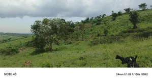 Plot's for Sale in Kakiri