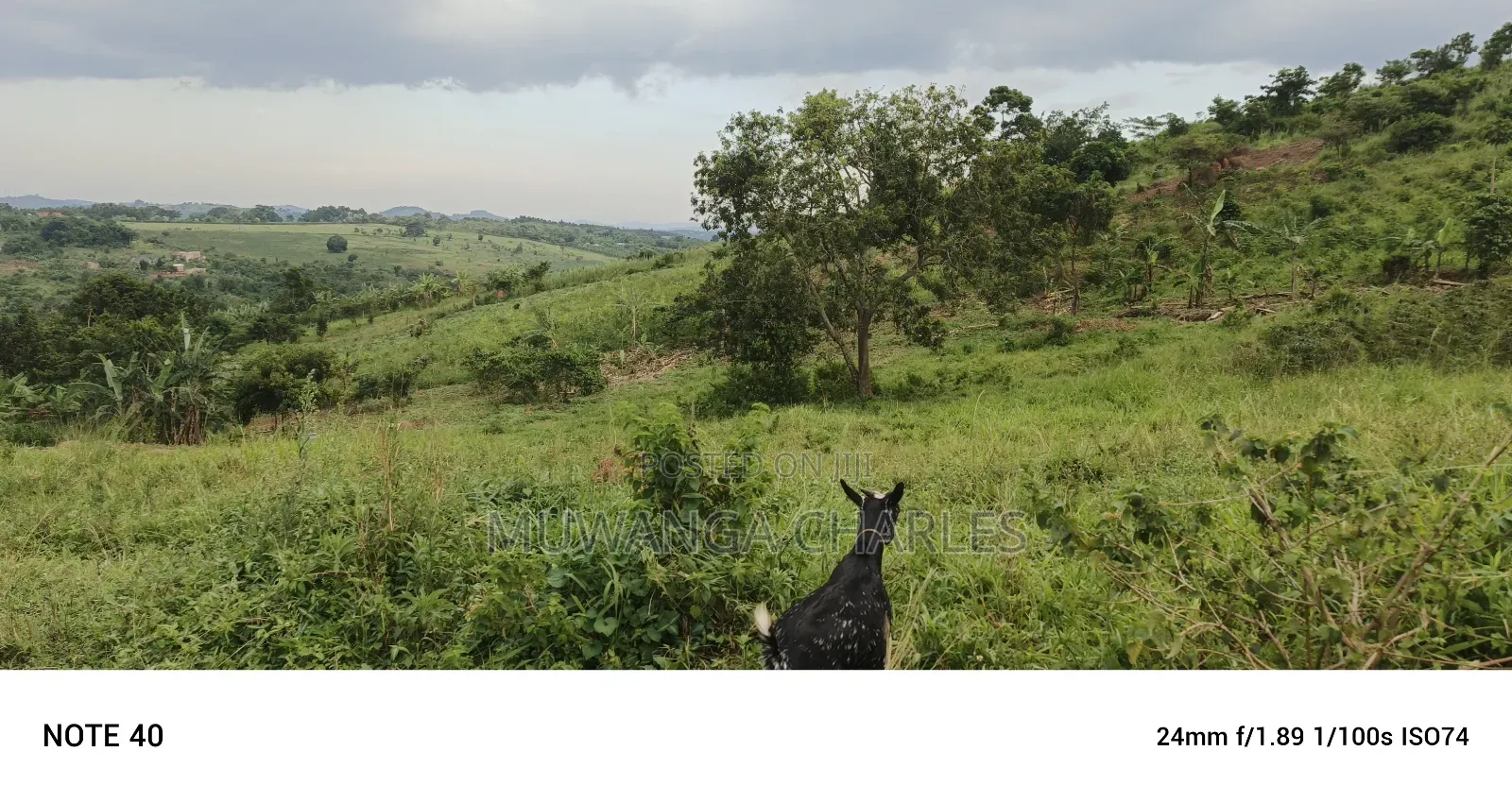 Plot's for Sale in Kakiri