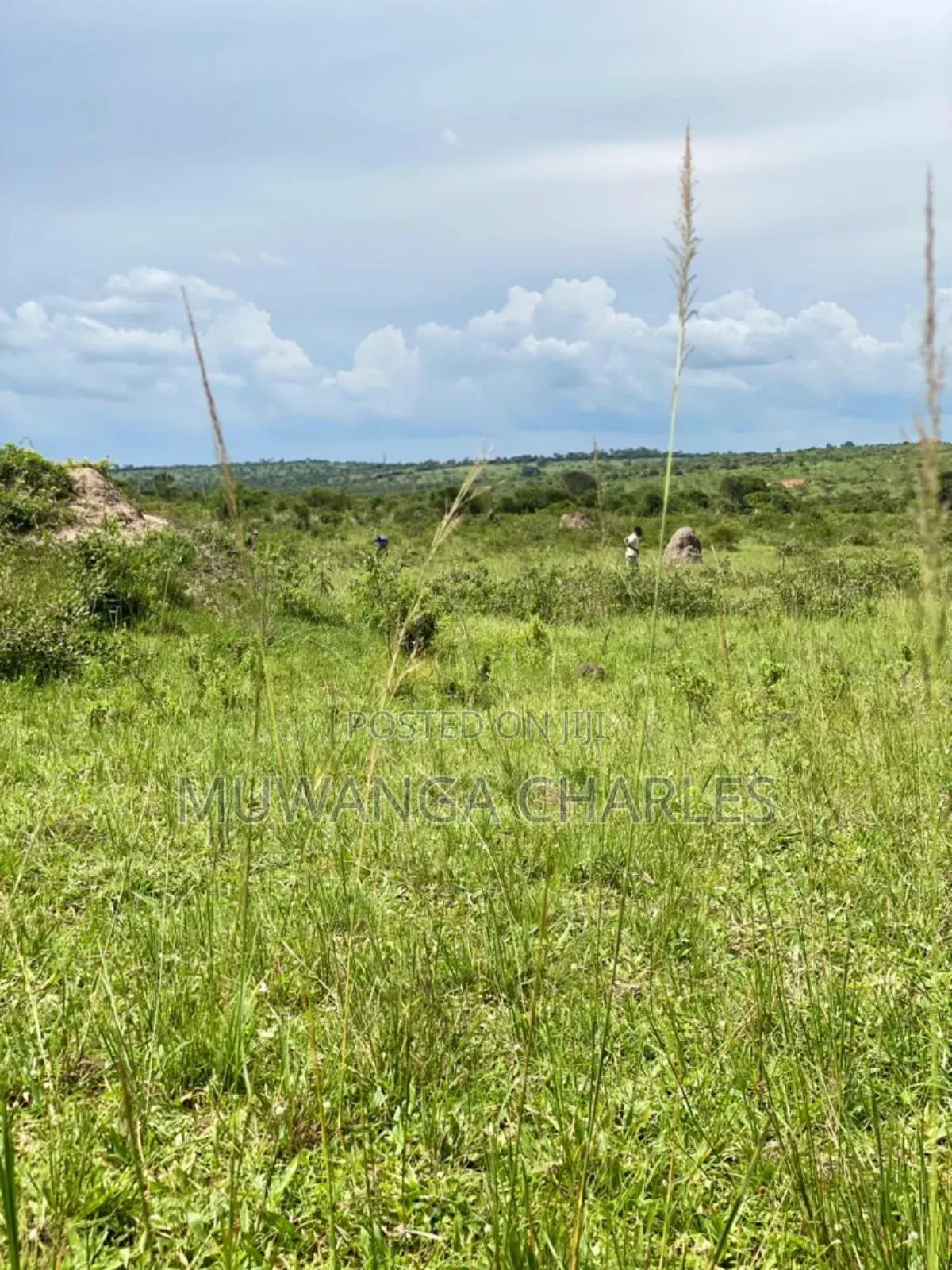 Plot's for Sale in Kikandwa