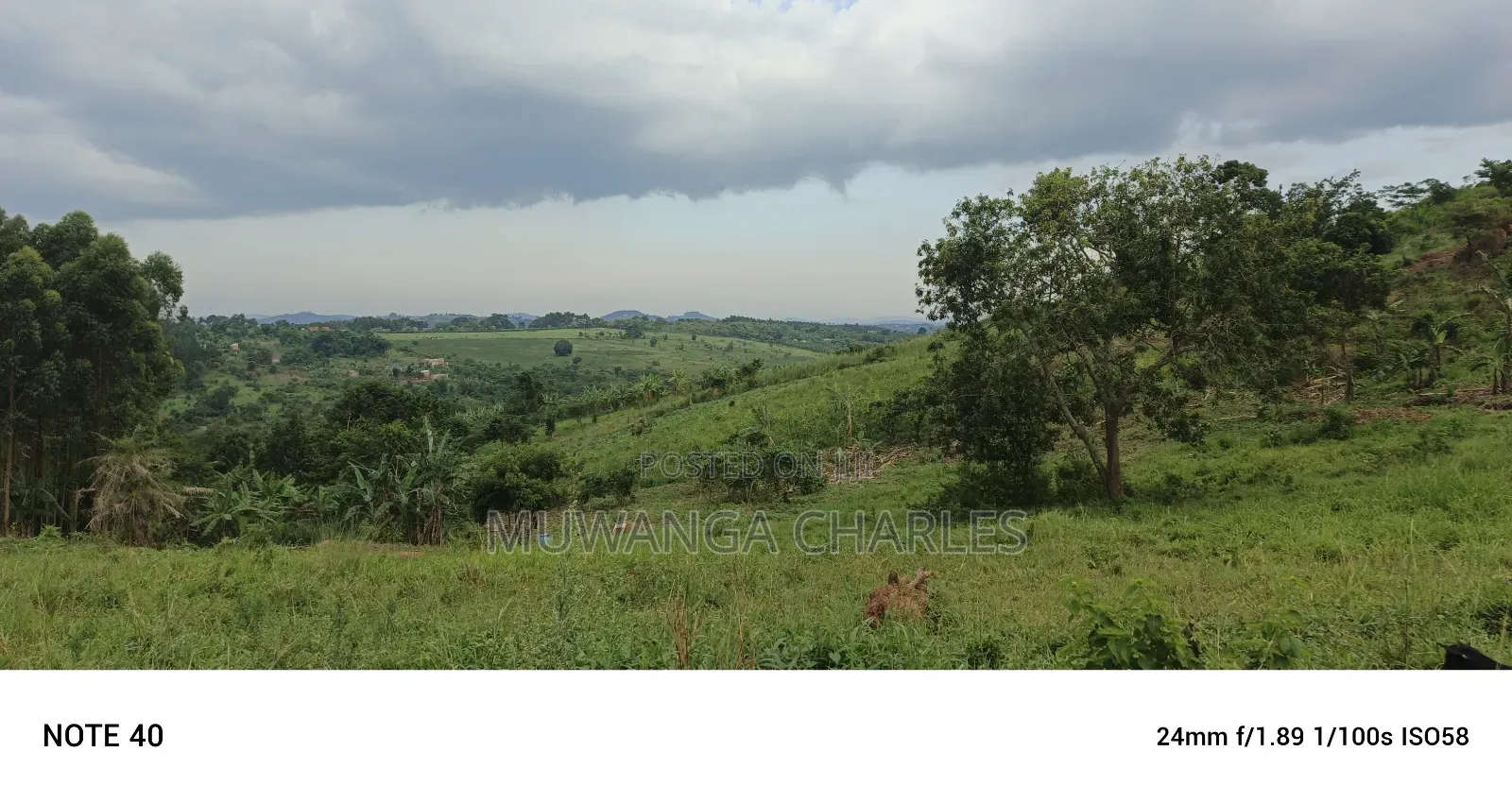 Plot's for Sale in Kikandwa
