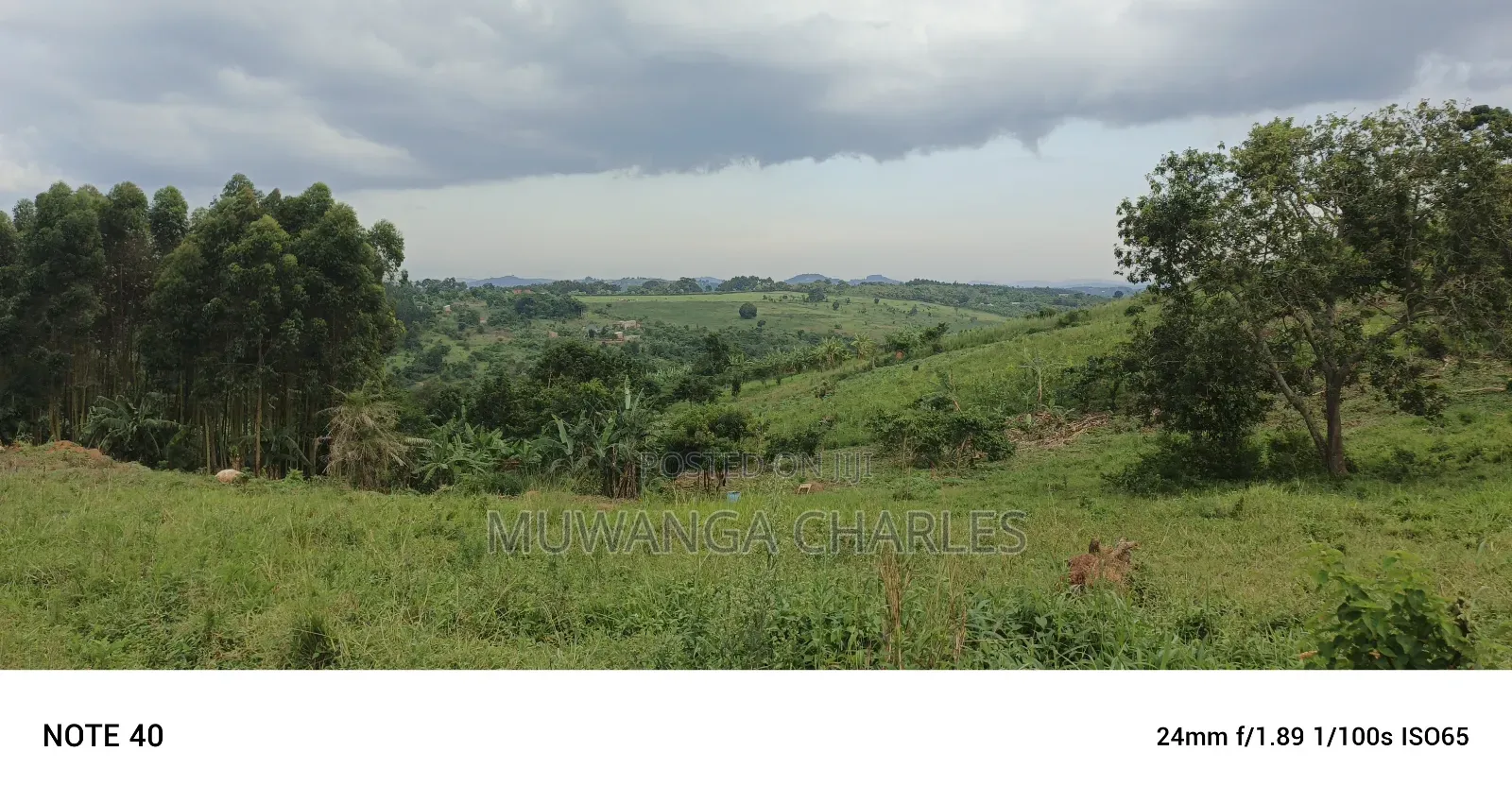Plot's for Sale in Kikandwa