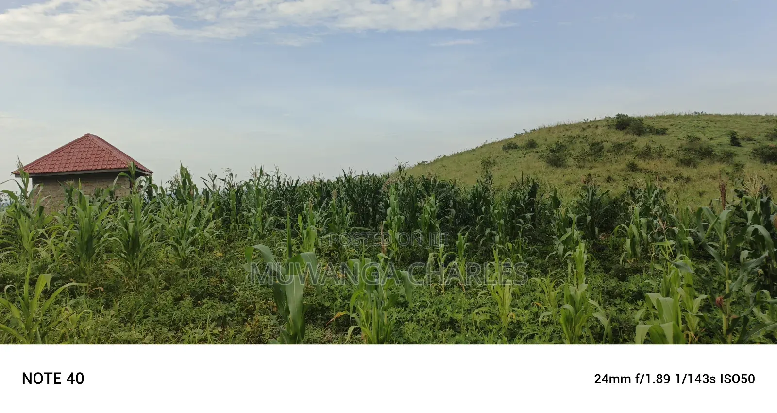 Plot's for Sale in Kikandwa
