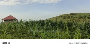 Plot's for Sale in Kikandwa