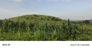 Plot's for Sale in Kikandwa