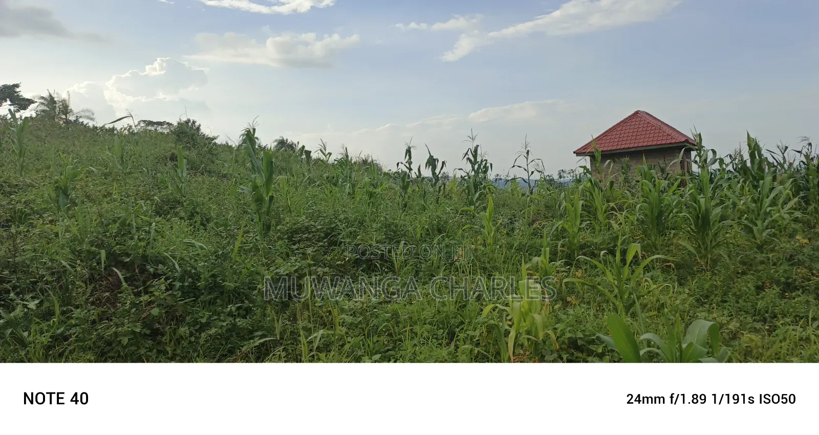 Plot's for Sale in Kikandwa