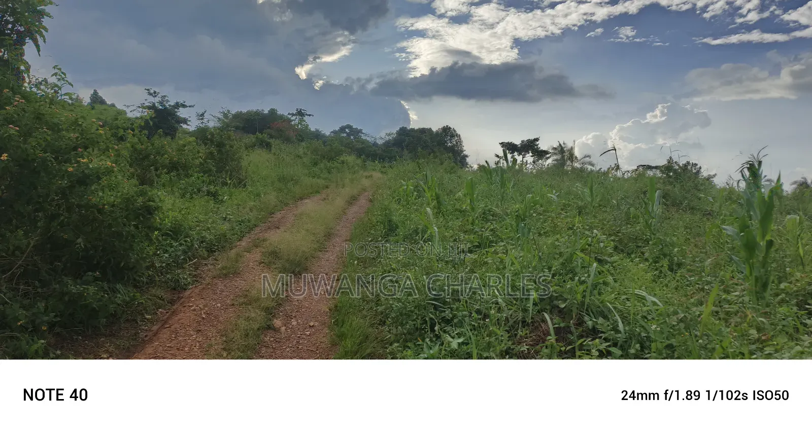 Plot's for Sale in Kikandwa