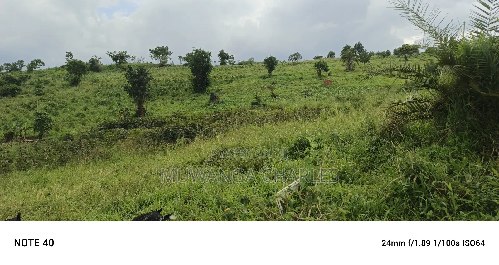 Plot's for Sale in Kikandwa