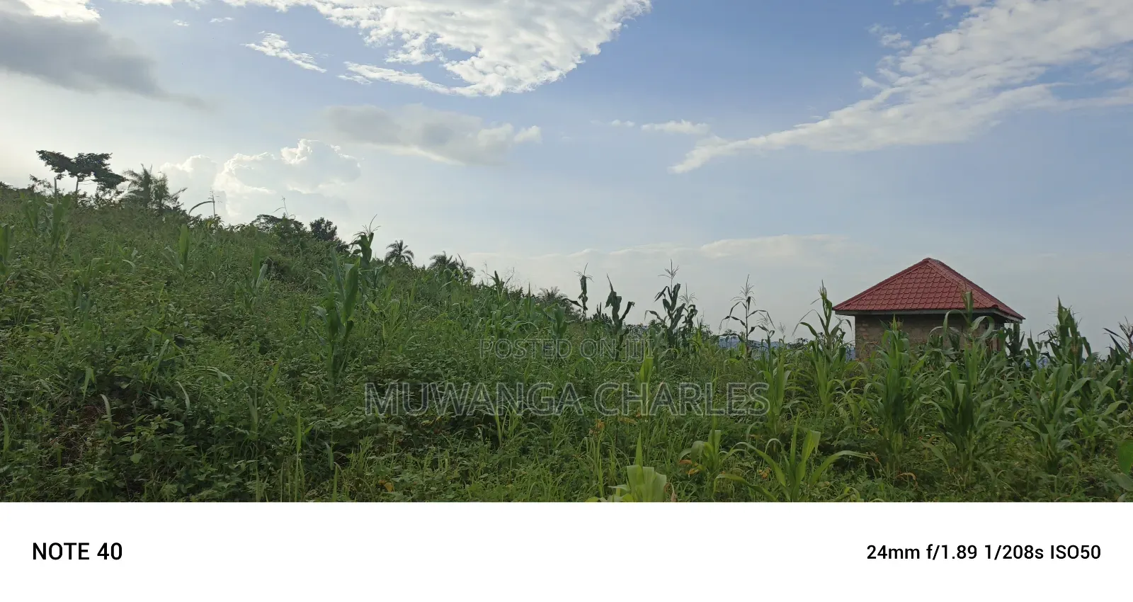 Plot's for Sale in Kikandwa