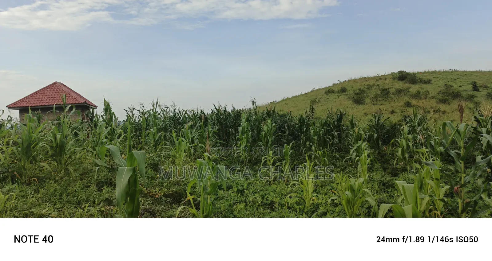 Plot's for Sale in Kikandwa