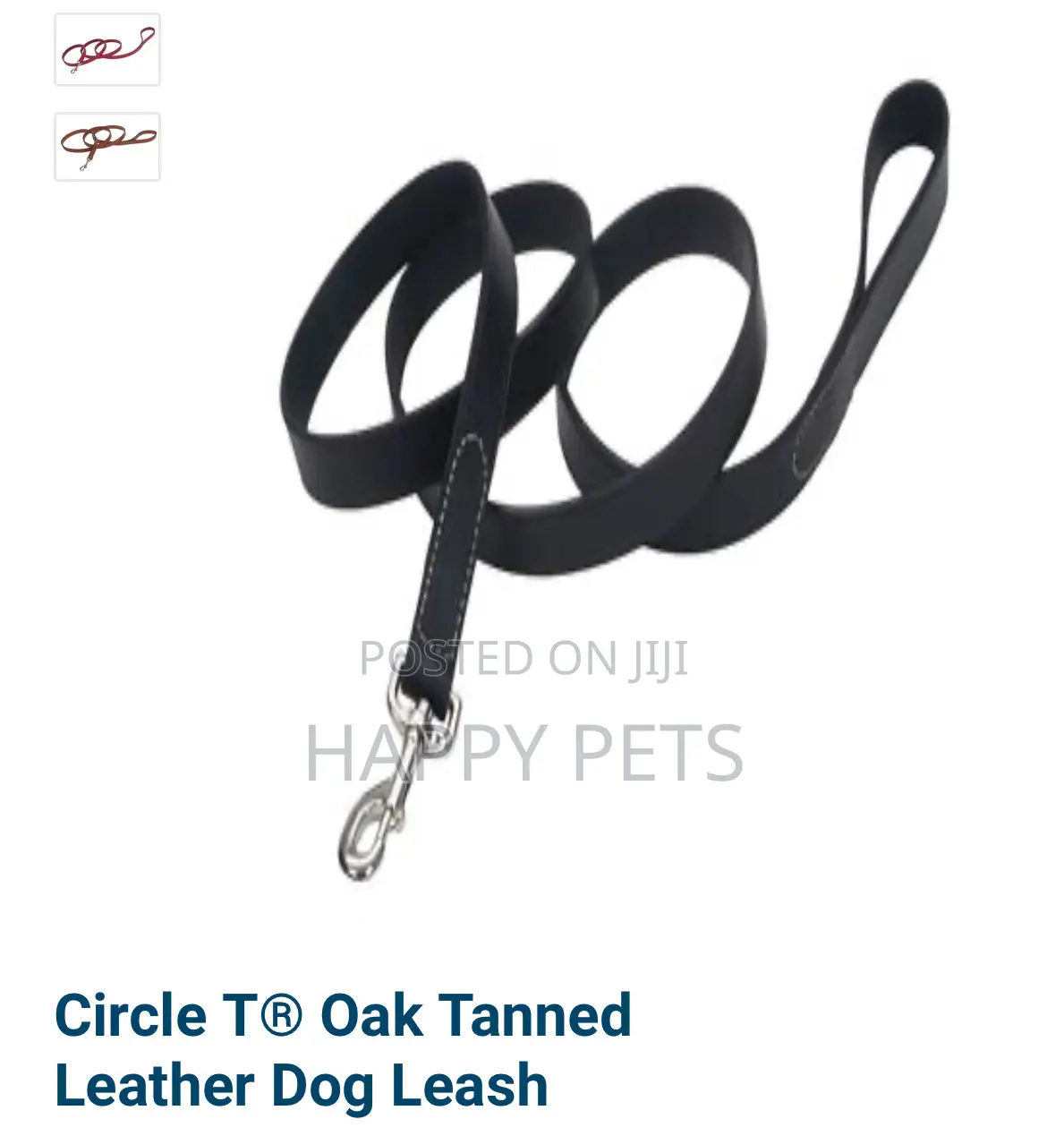Circle T Leather Dog Leash