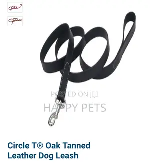 Photo - Circle T Leather Dog Leash